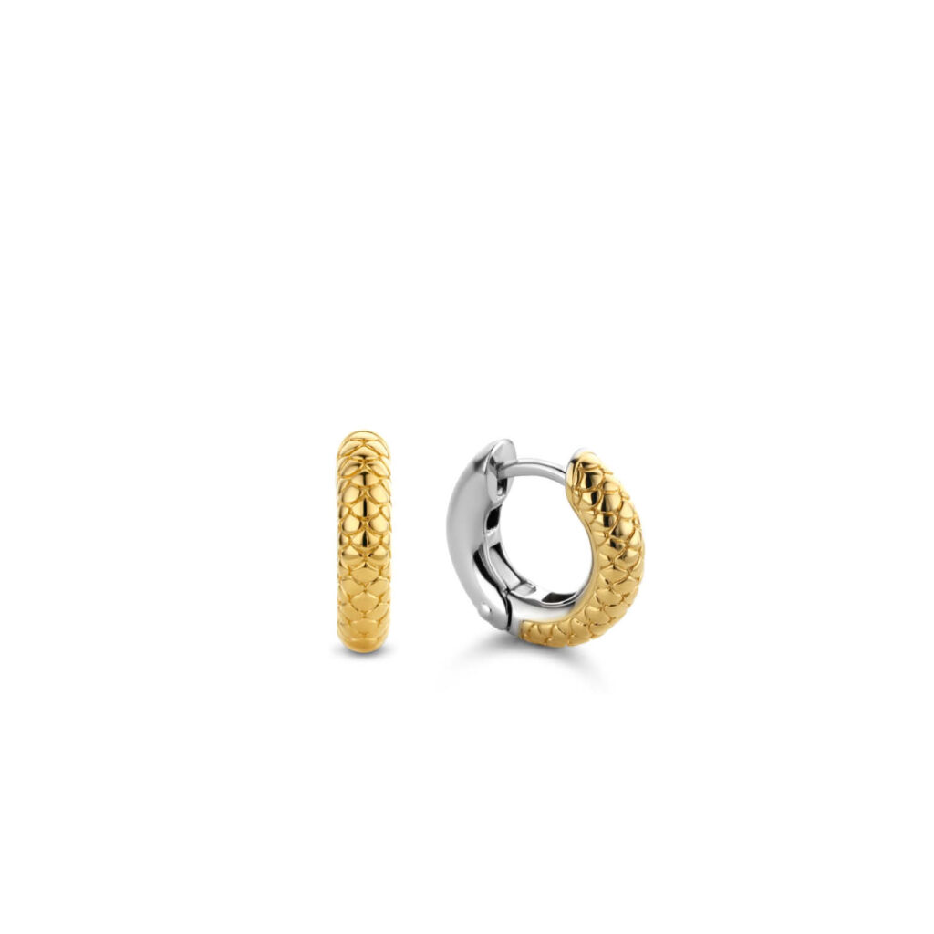 Hinged Hoop Earrings