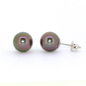 Tahitian Pearl Studs