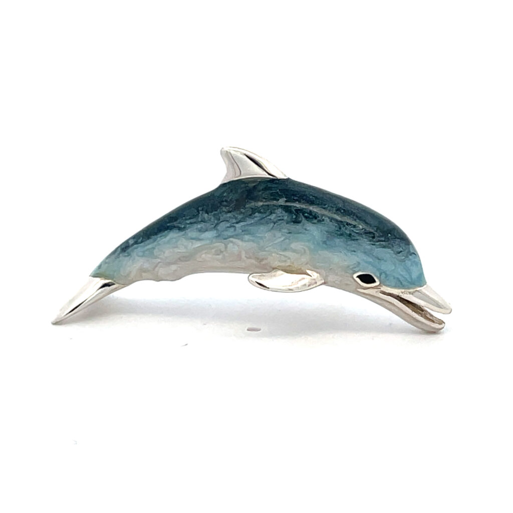 Dolphin