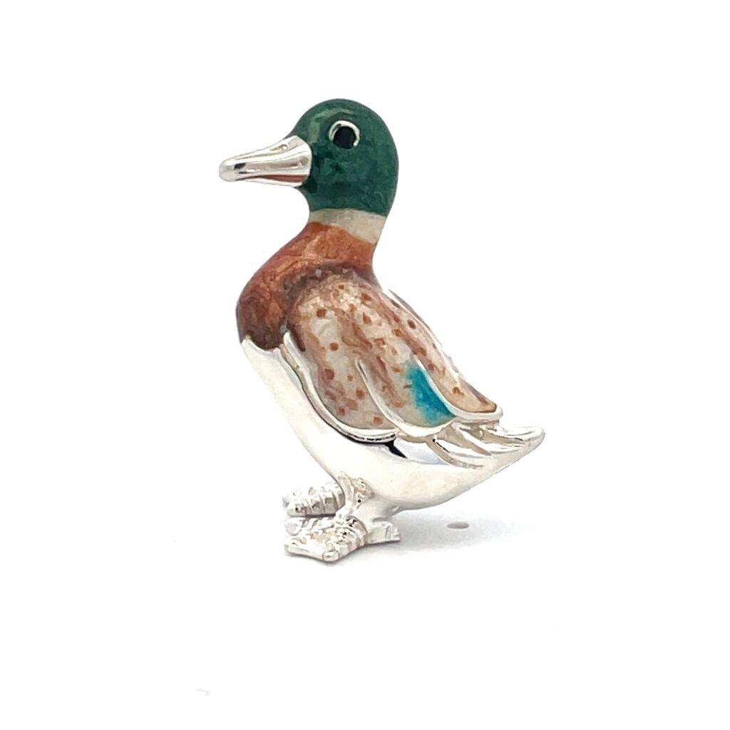 Duck