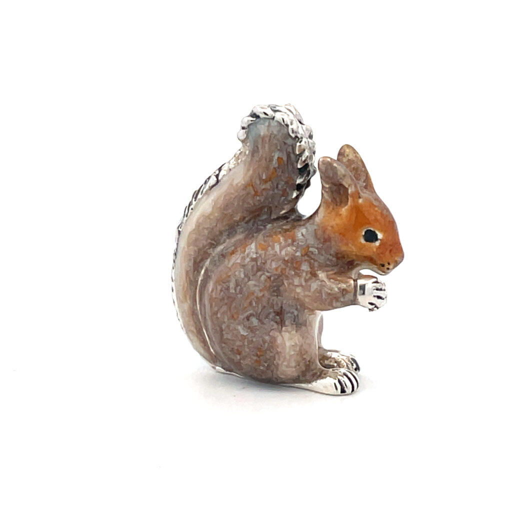 Grey Squirrel
