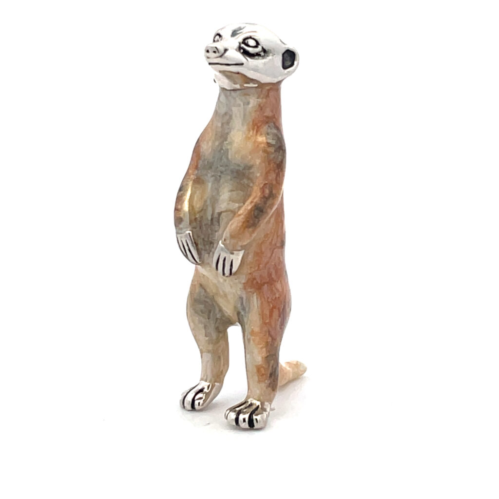 Meerkat