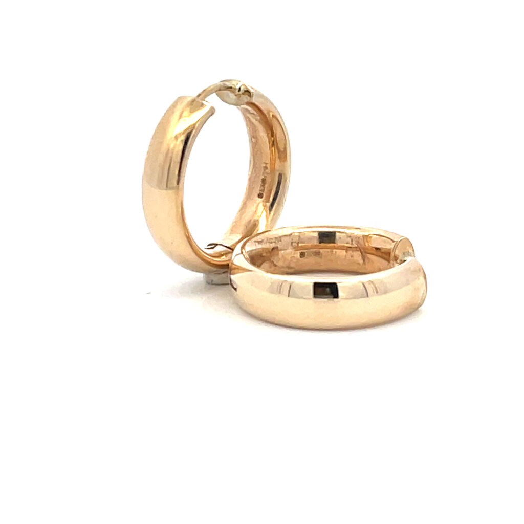 Gold Hoop Earrings